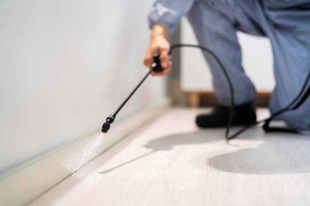 Licensed Pest Control service in Santa Ynez, CA - Show Me Pest Control