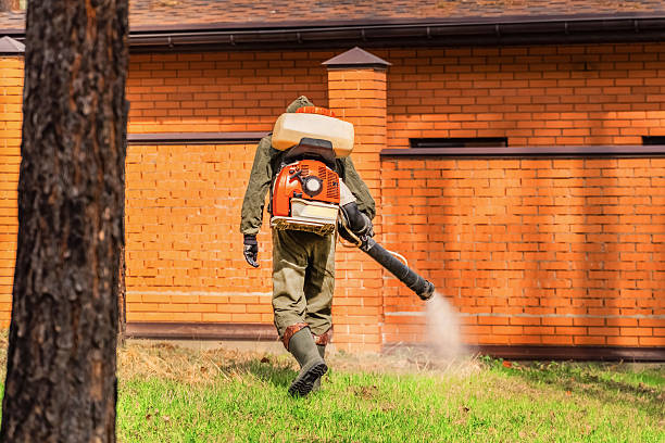 Bed Bug Clearance Verification and Documentation in Santa Ynez